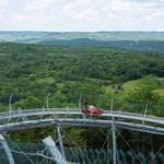 Copperhead Mountain Coaster