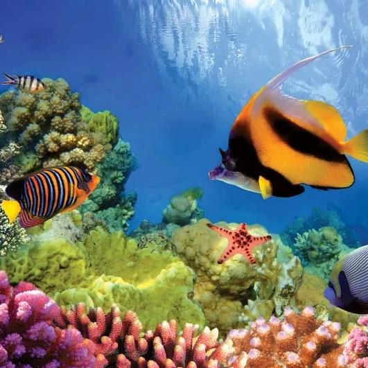 Kristen Place and Jc Juker's Wedding Registry on Zola