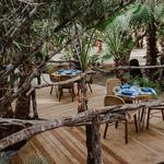 DUM Todos Santos