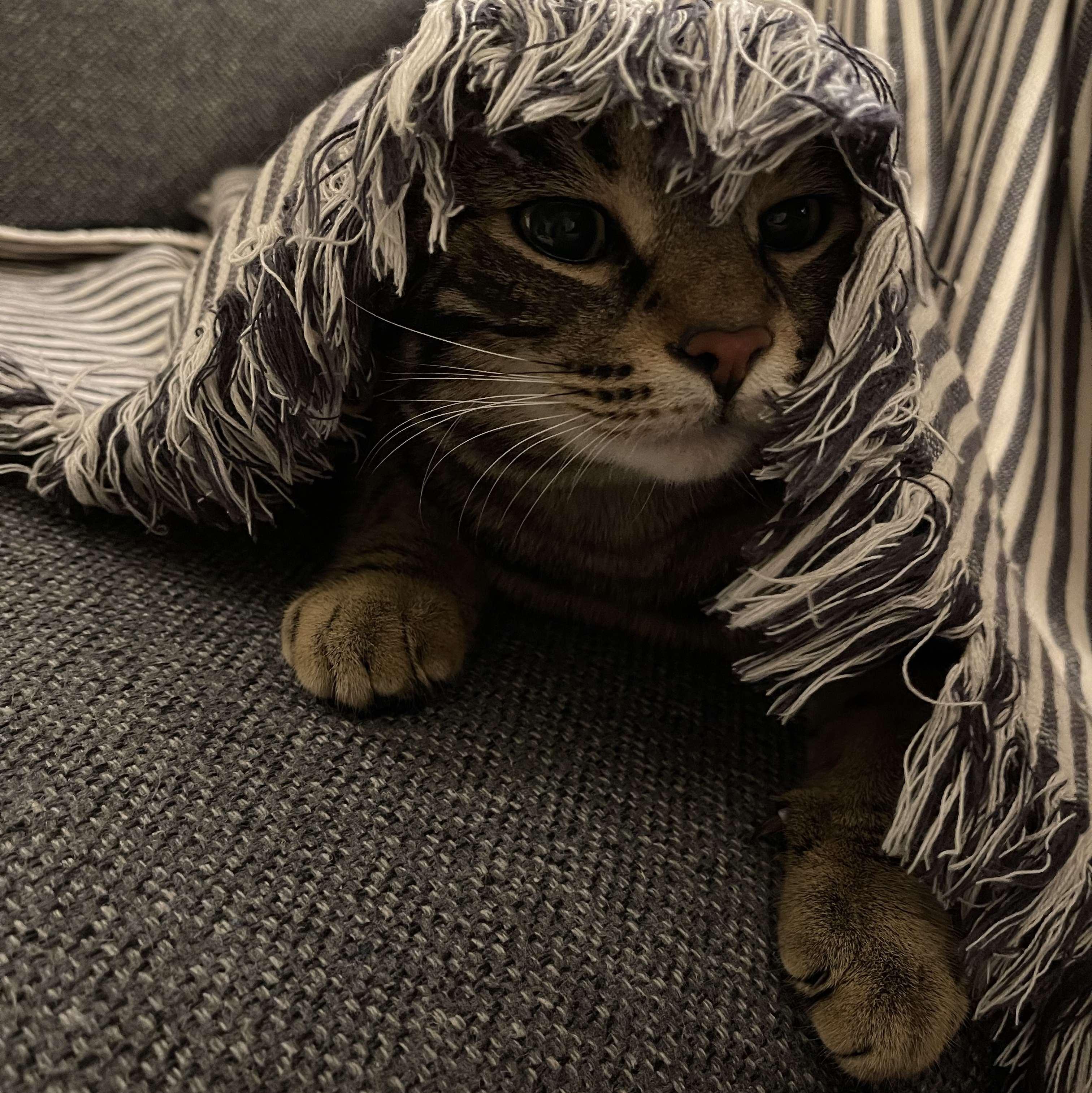 This is normal.