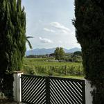 Lucca