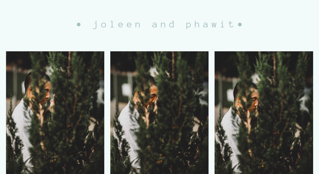 Footer image