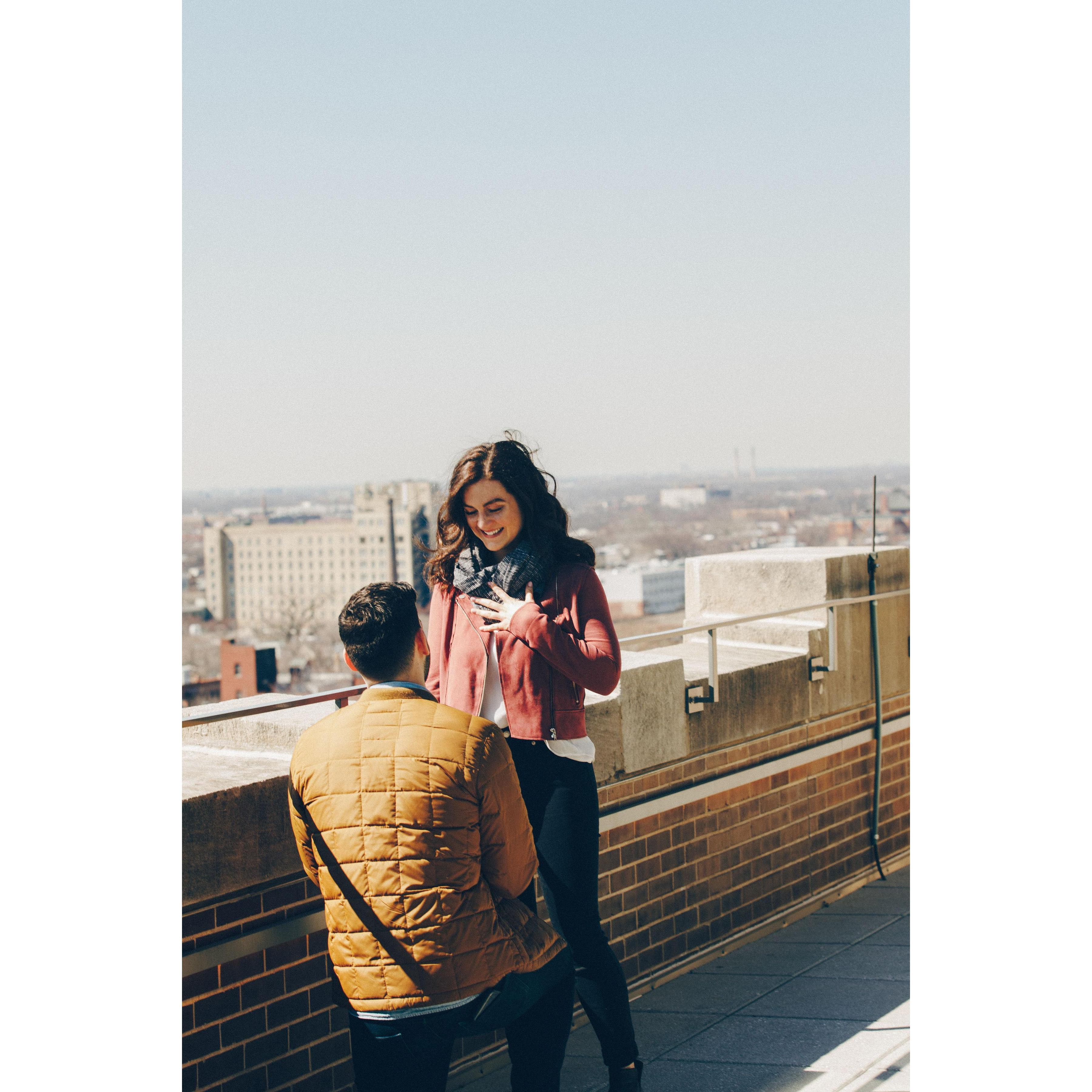 3/23/19 
on the rooftop of the Robey Hotel, Chicago, IL