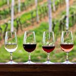 Wine Tasting