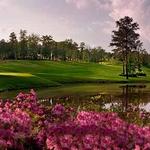 Robert Trent Jones Golf Trail, Ross Bridge