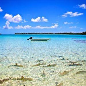 Lagoon Tour On Our Honeymoon