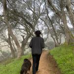 Helen Putnam Regional Park