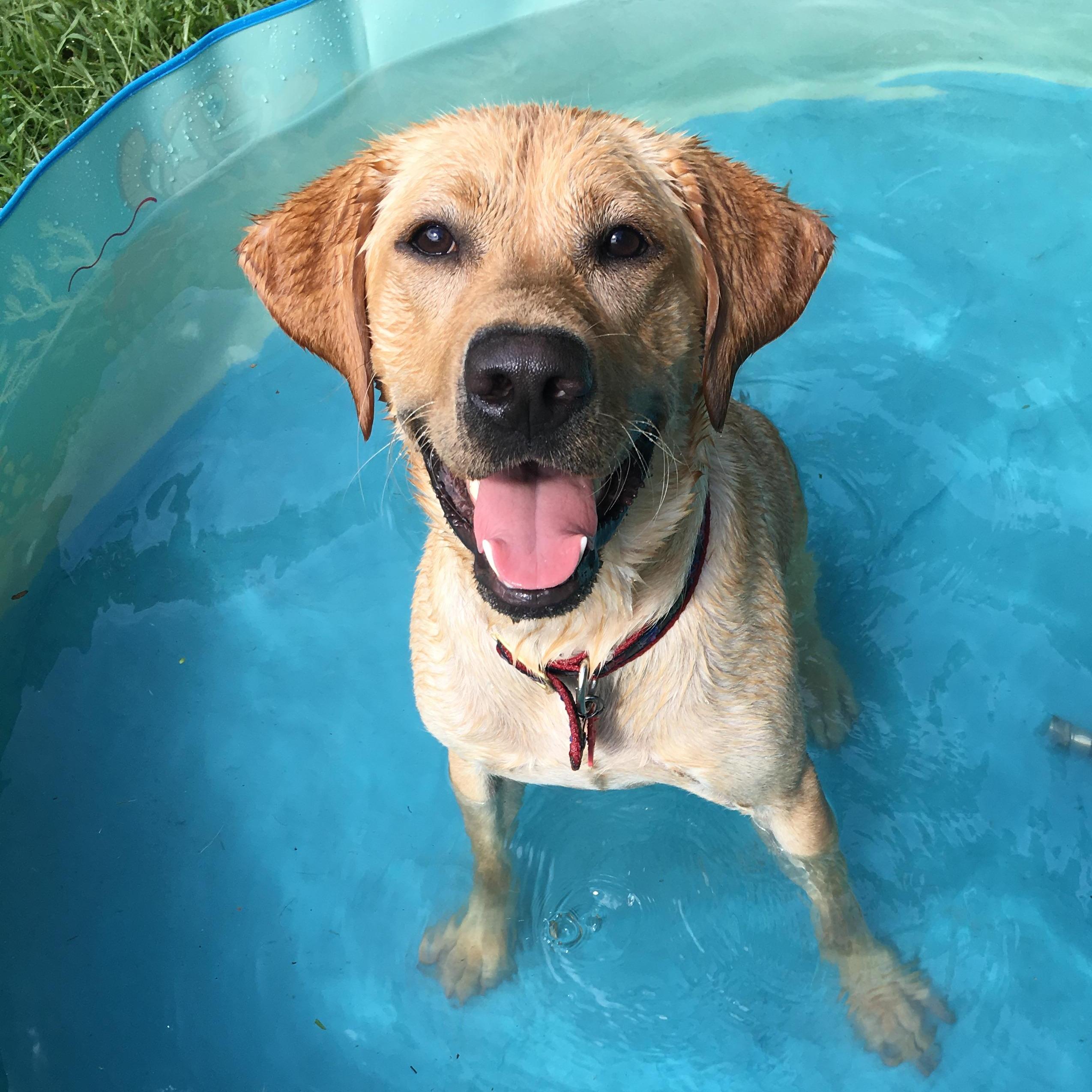 Ella is a happy girl!