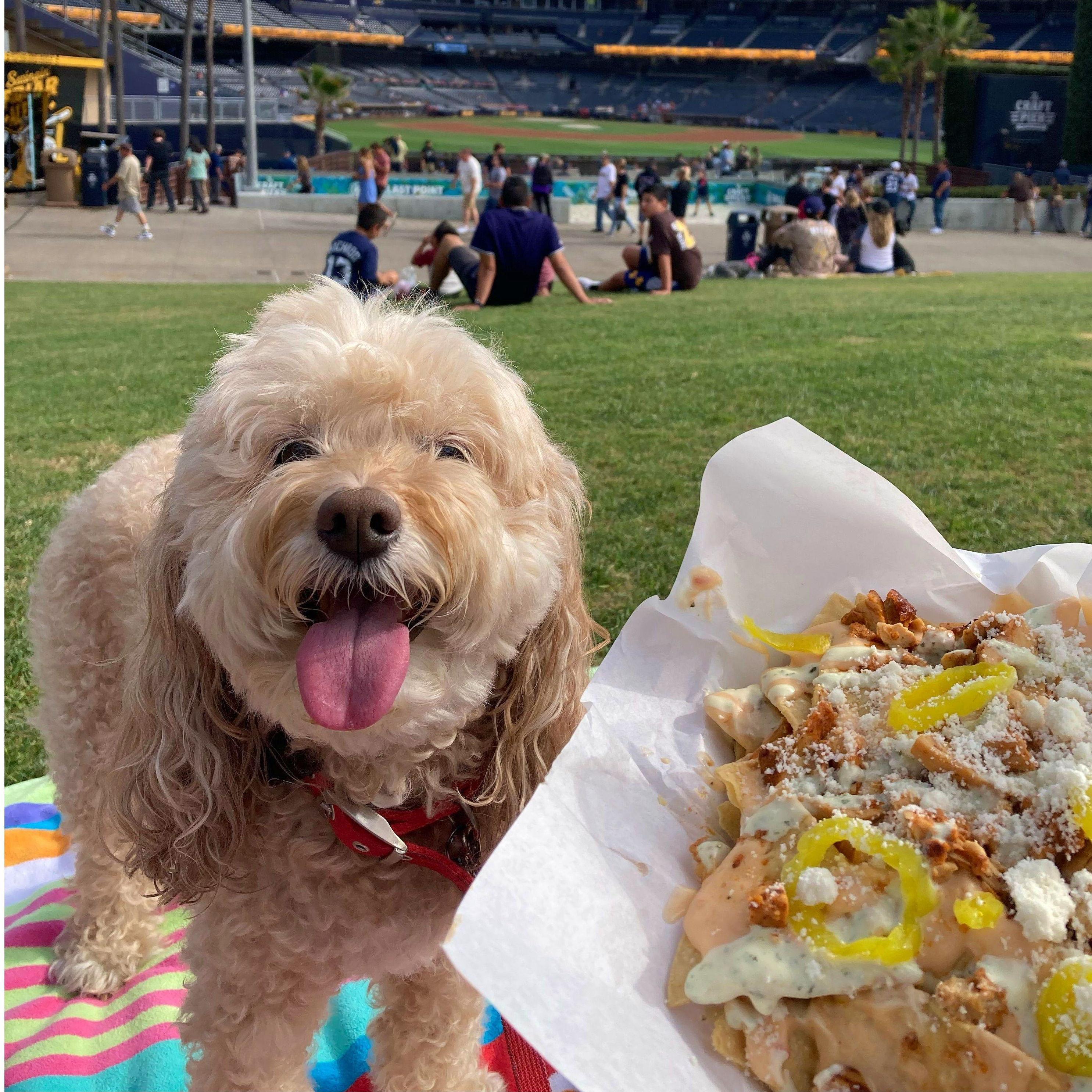 Just a fun picture of our sweet Moze. (Summer 2021)