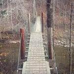 Swinging Bridges of Wayne County