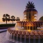 Pineapple Fountain