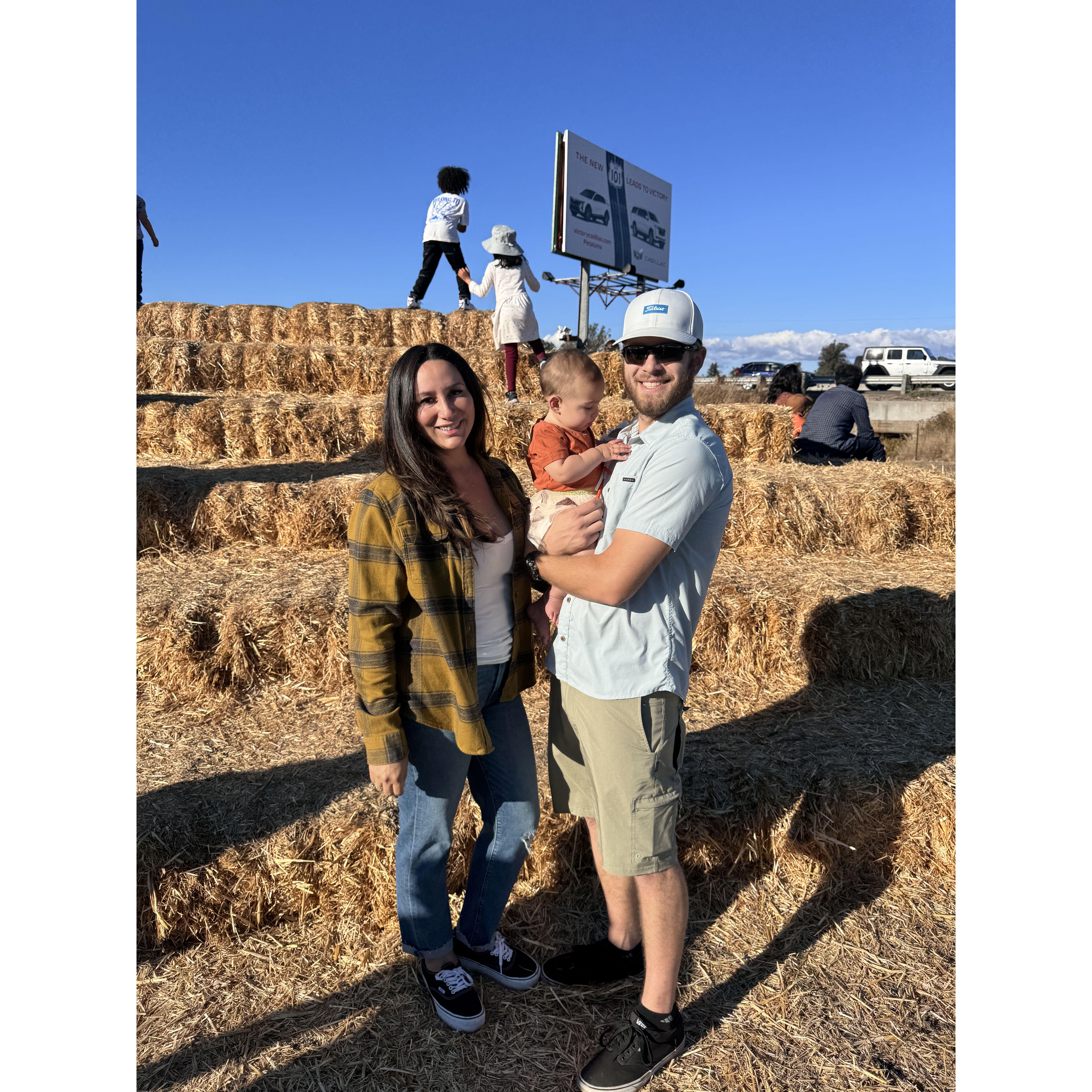 Pennys first pumpkin patch