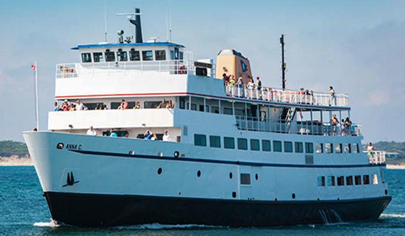 The Wedding Website of Jeffrey MacDougall and Maya Bass