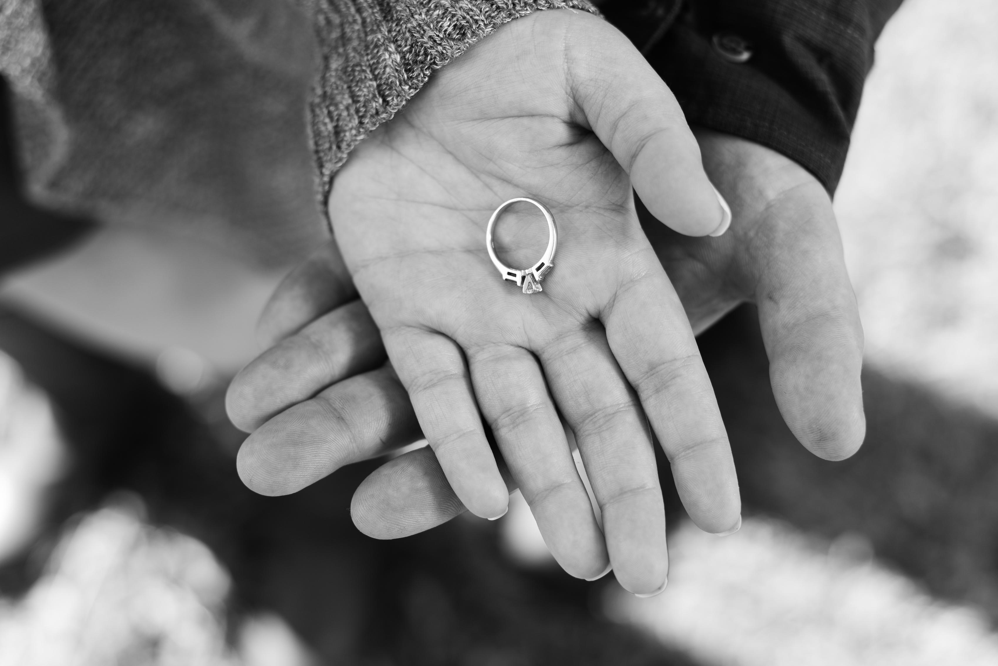 The Wedding Website of Sara Harris and Richard Dufrenne