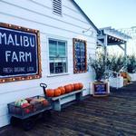 Malibu Farm Pier Cafe