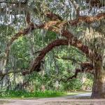 Audubon Park