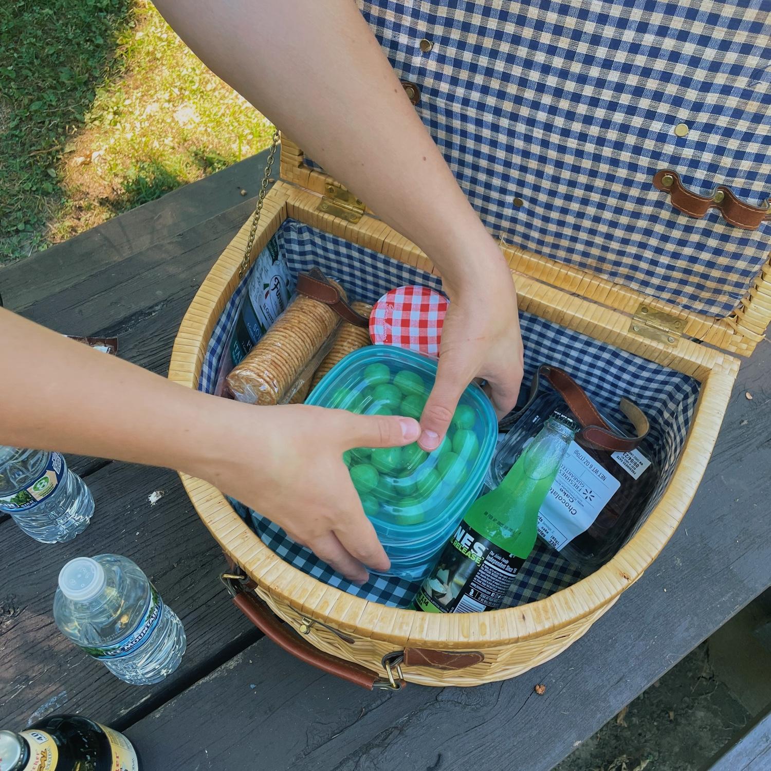 Picnic in the park
