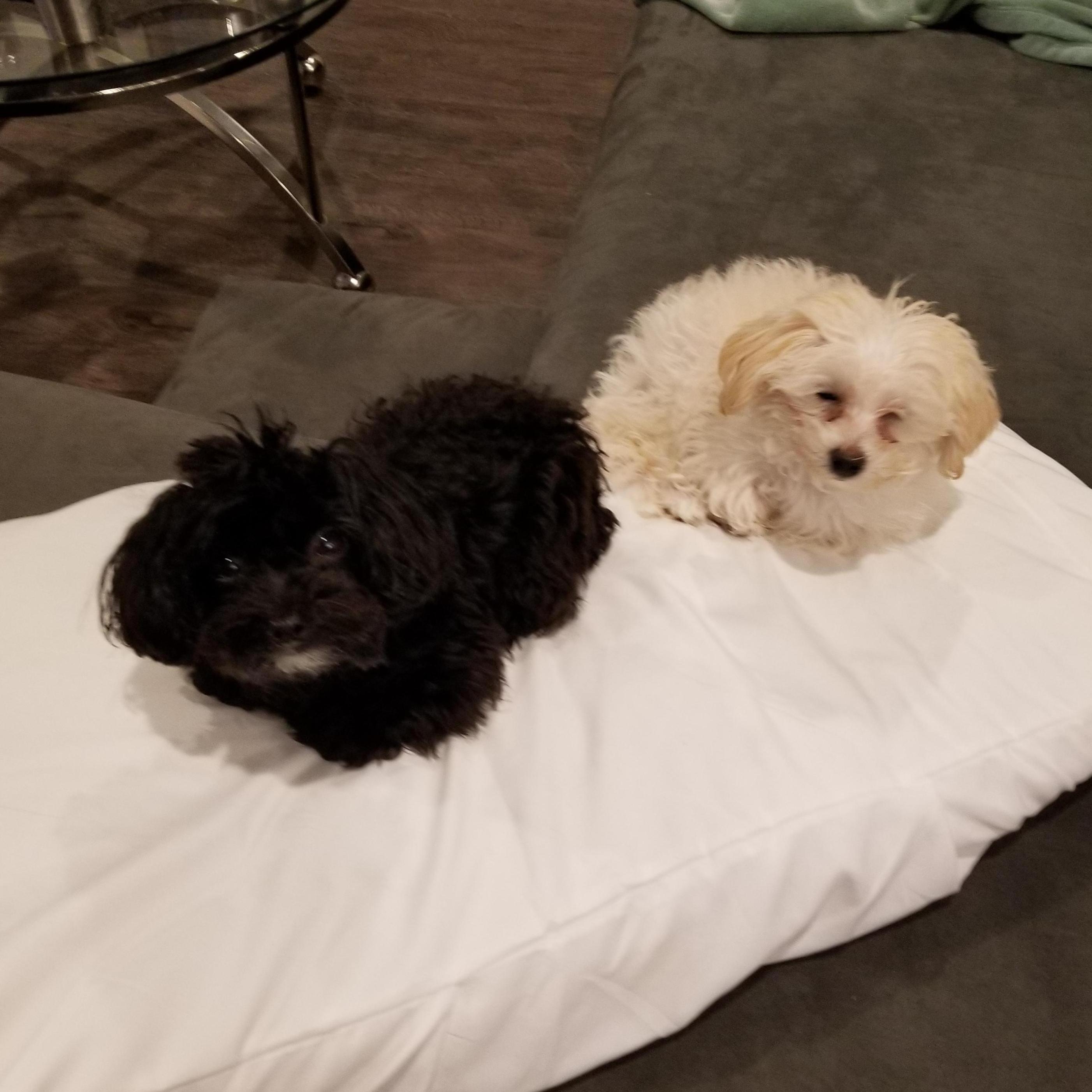 Sleepy babies, Nip & Tuck