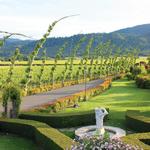 PEJU Winery