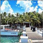 Square Grouper Tiki Bar Jupiter Inlet