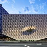 The Broad Museum