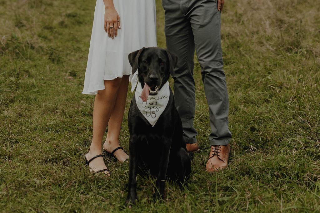 The Wedding Website of Joseph Rubio and Riley Domingues