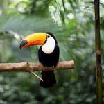 Day Trips - Culture in Panama City