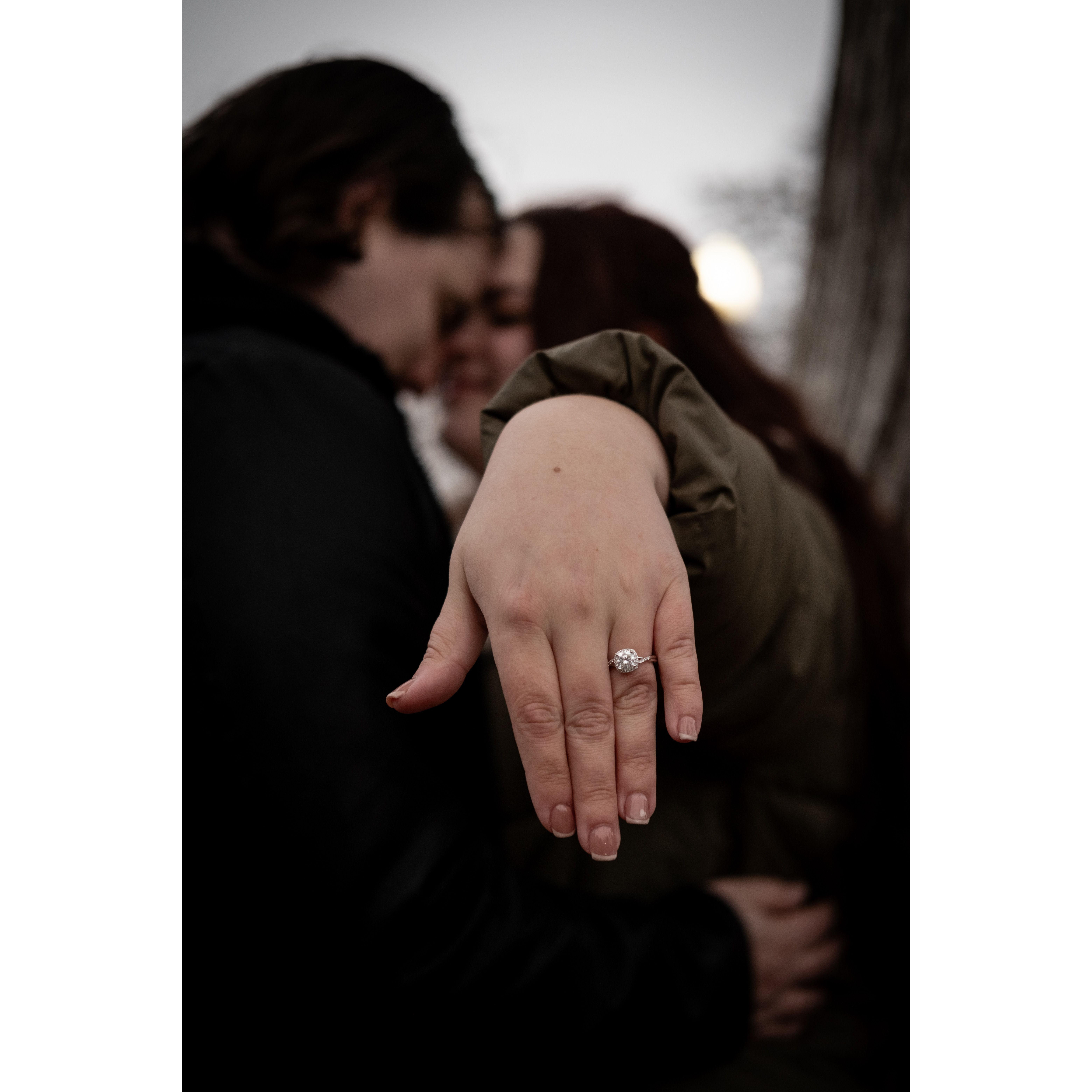 Engagement Pictures January 2024