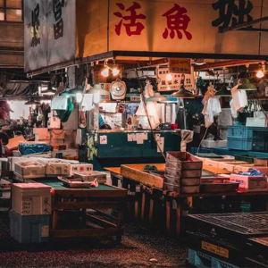Tour of the Tsujiki Fish Market in Tokyo