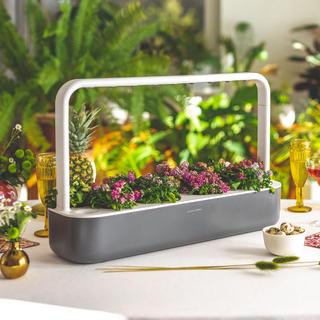 Smart Garden 9