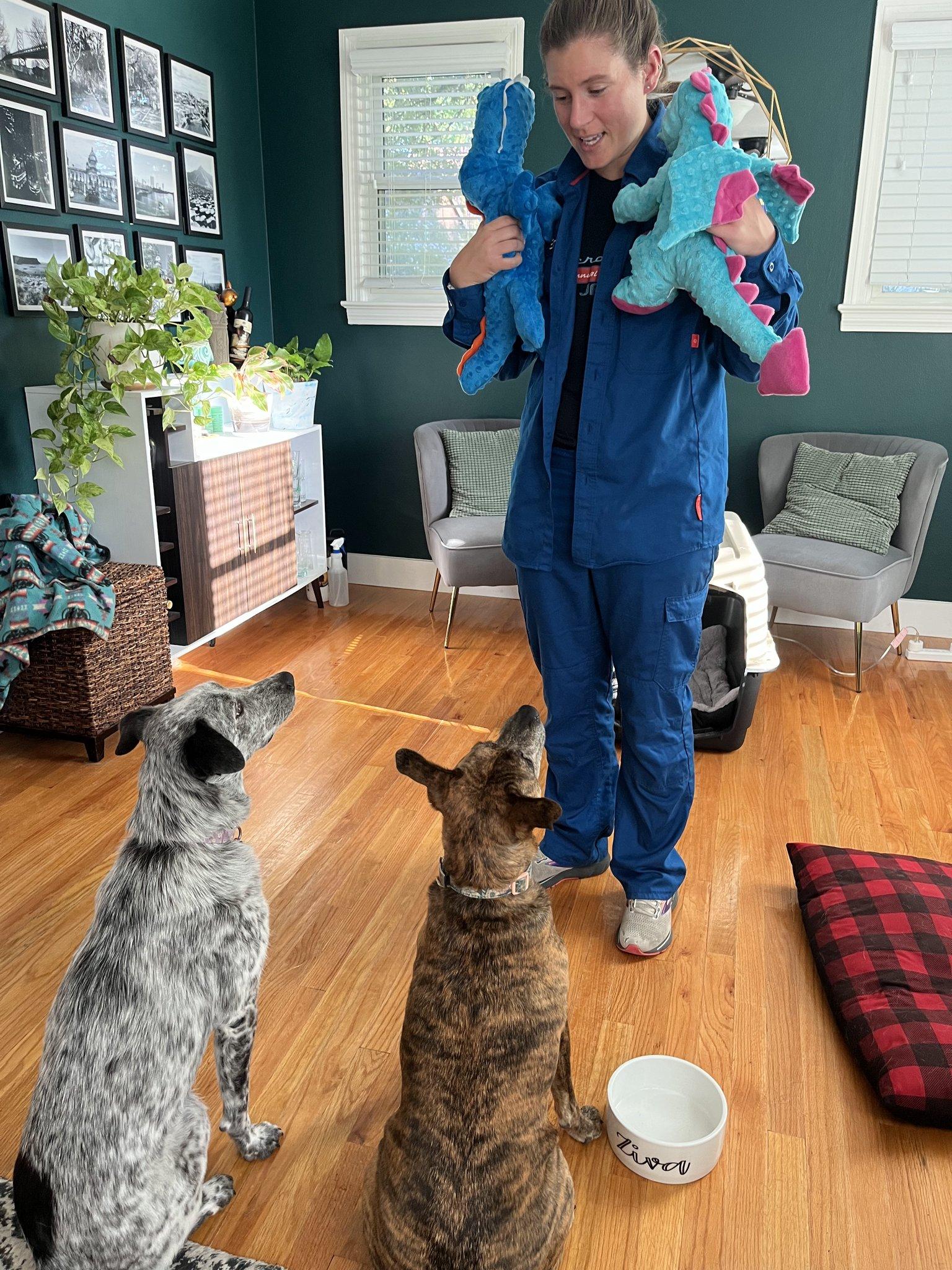 afe84cdd-ba0e-4833-8258-62e90b933264