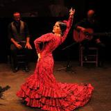 Flamenco Show