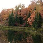 Fall Color Drive