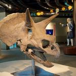 Louisiana Art & Science Museum