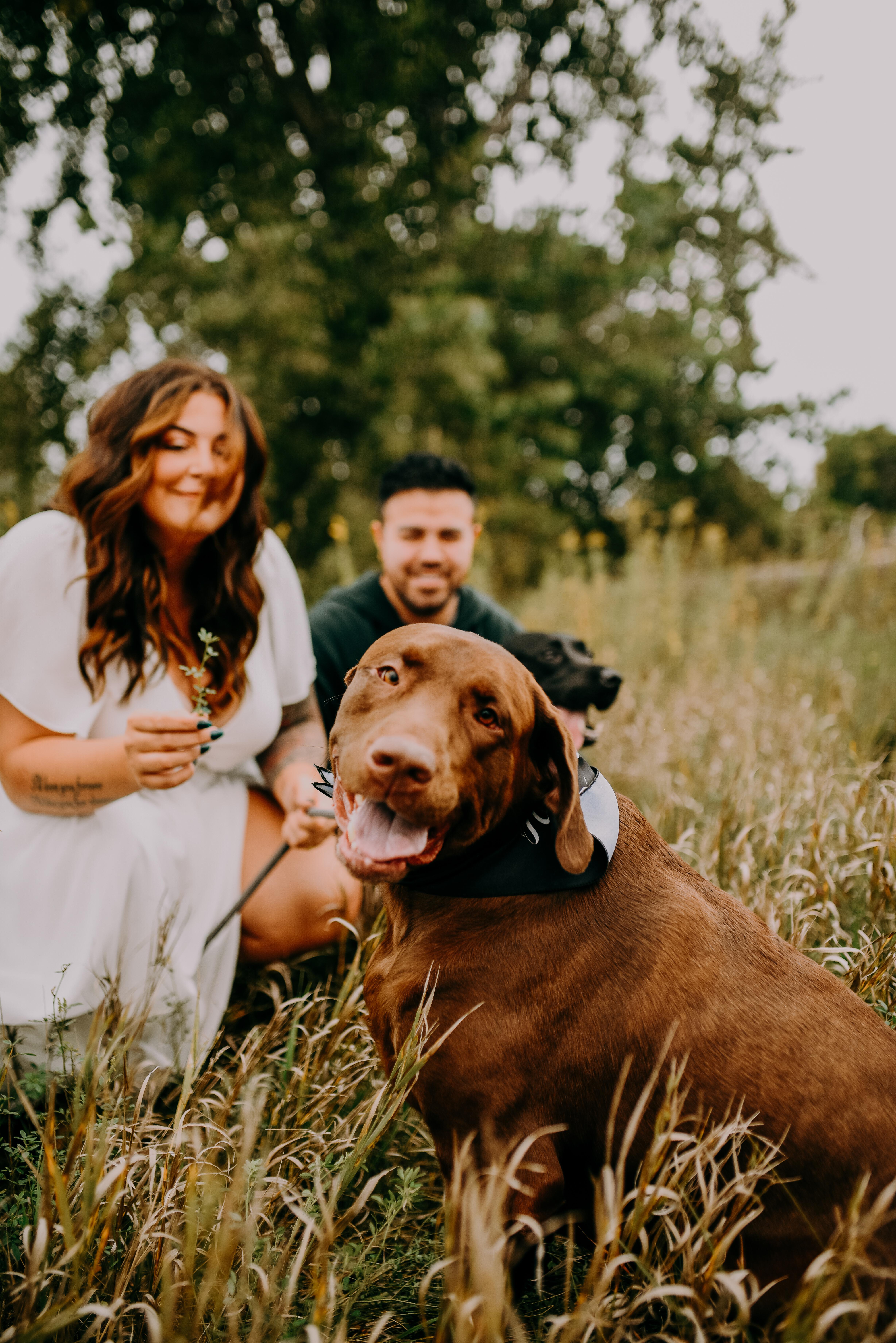 The Wedding Website of Alice Spangler and Luis Gonzalez