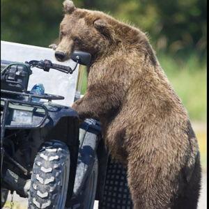 ATV Fund