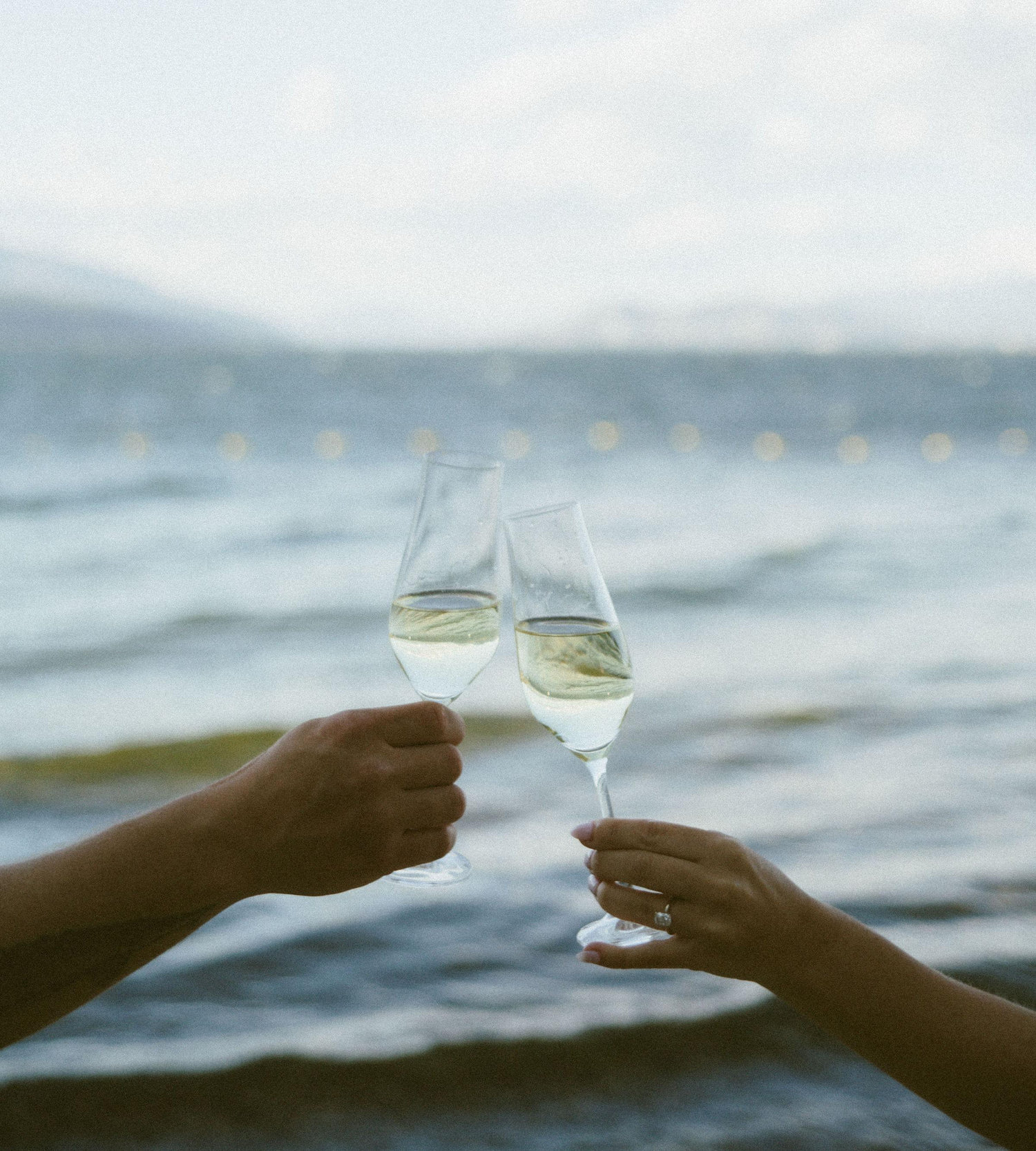 The Wedding Website of Maya Green and Dylan Mehmal