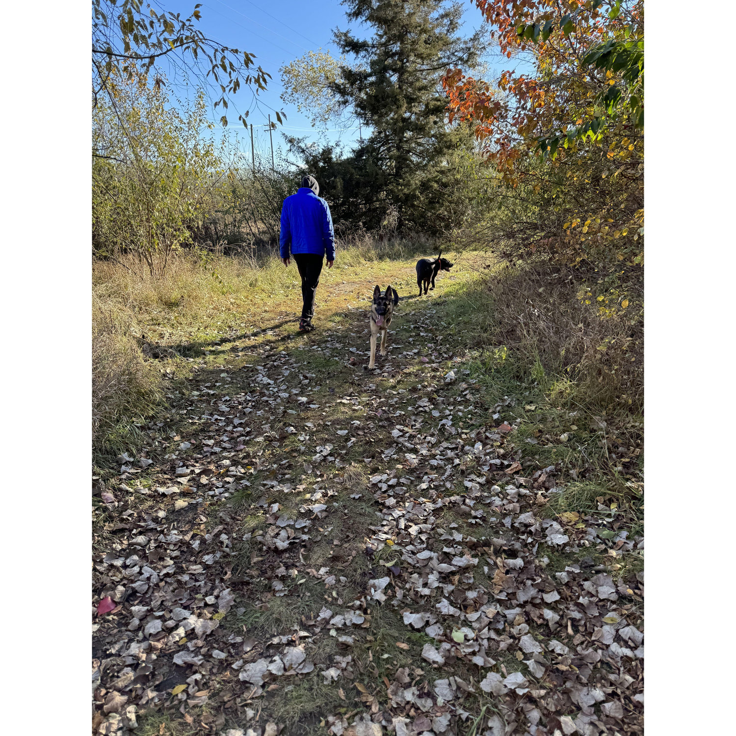 Trail walking in our apartment complex at Lakeshore