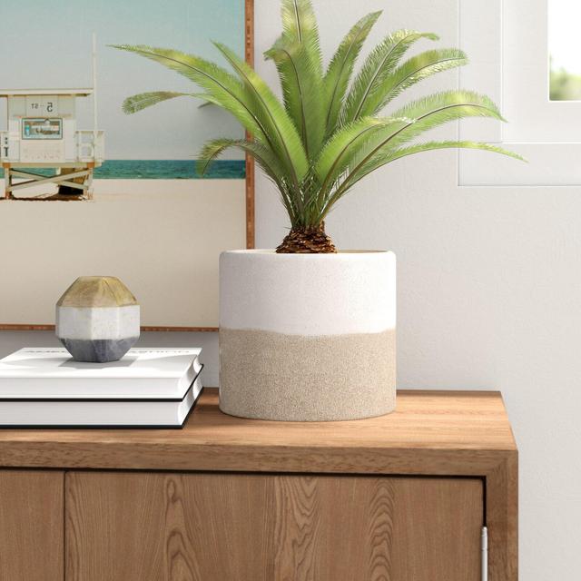 Bevill Ceramic Pot Planter