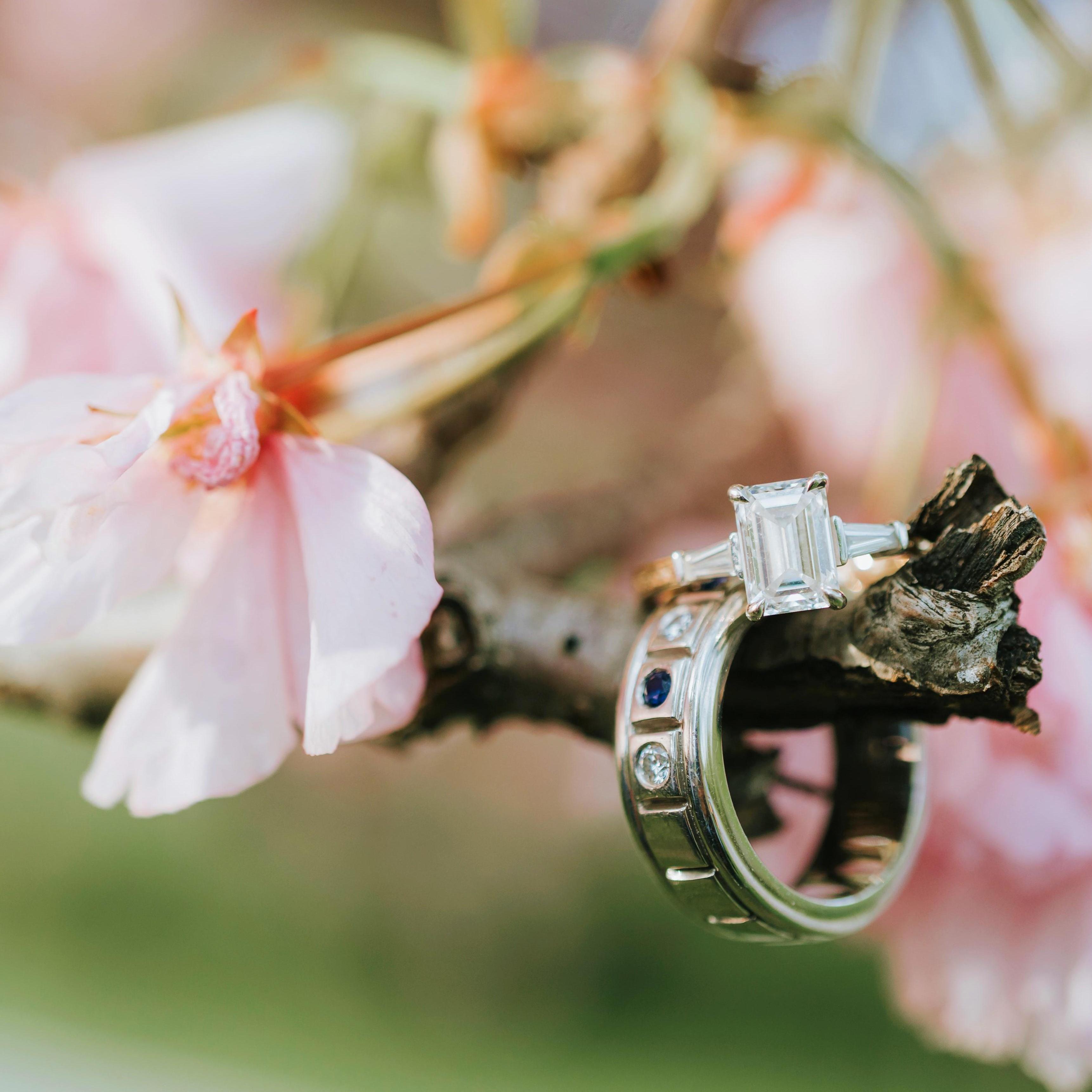 The rings