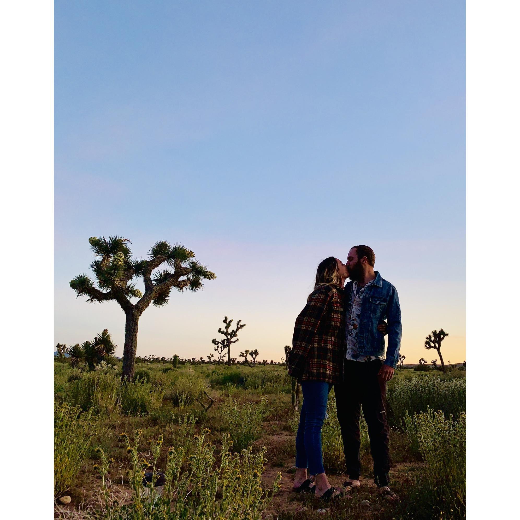 Joshua Tree