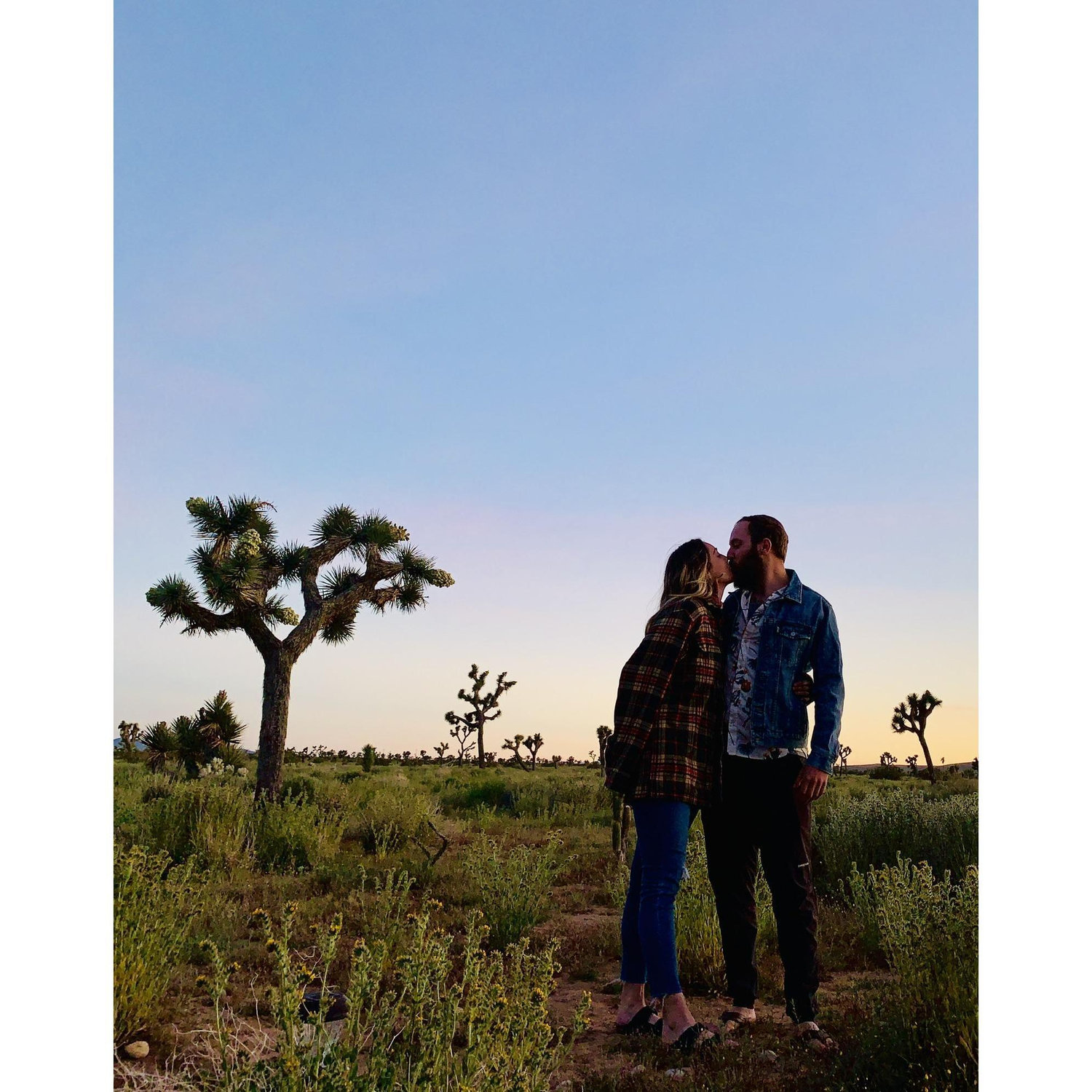 Joshua Tree