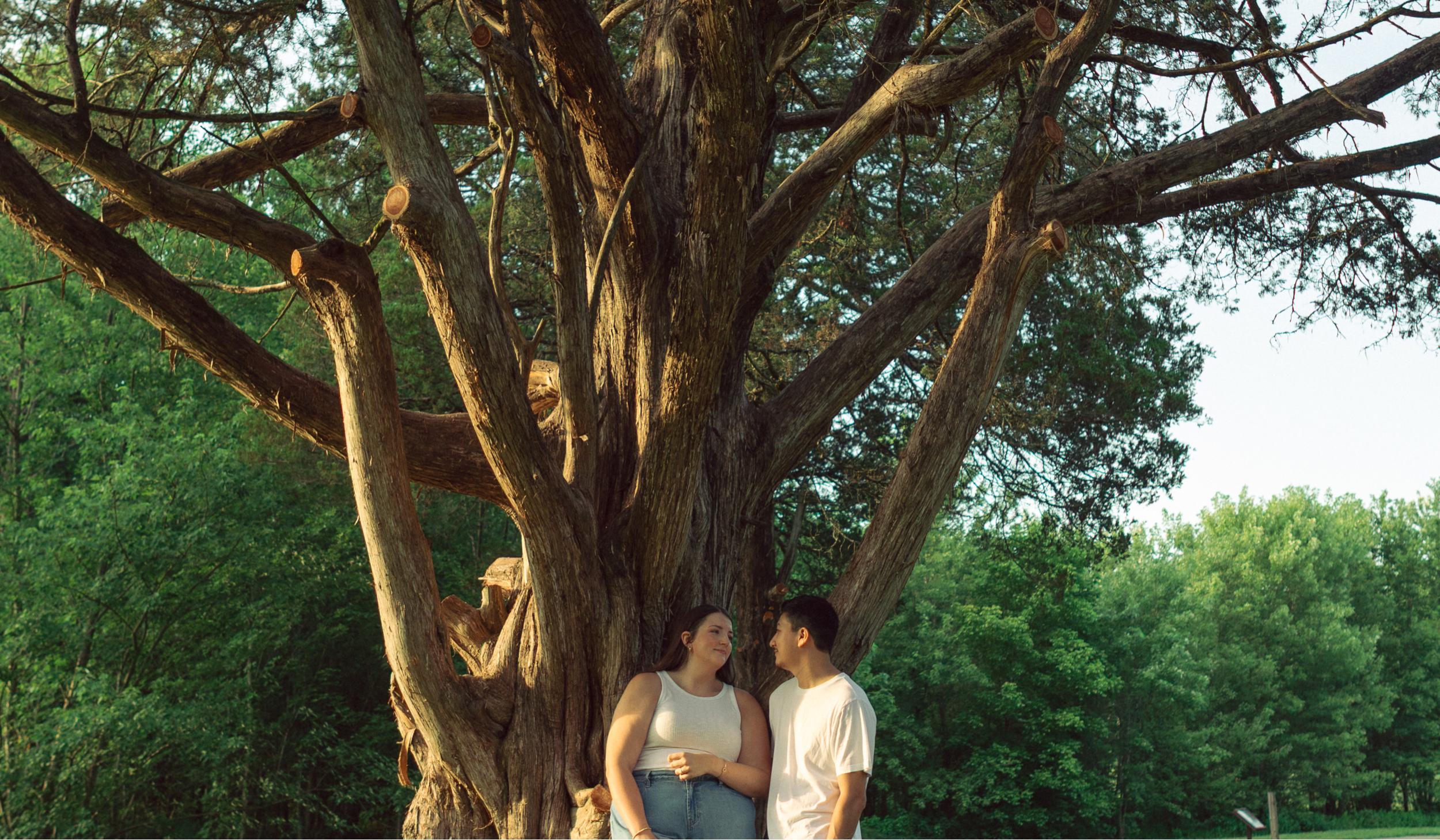 The Wedding Website of Stephanie Seiber and Levid Matsumura