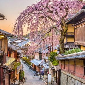 Japan Honeymoon Fund