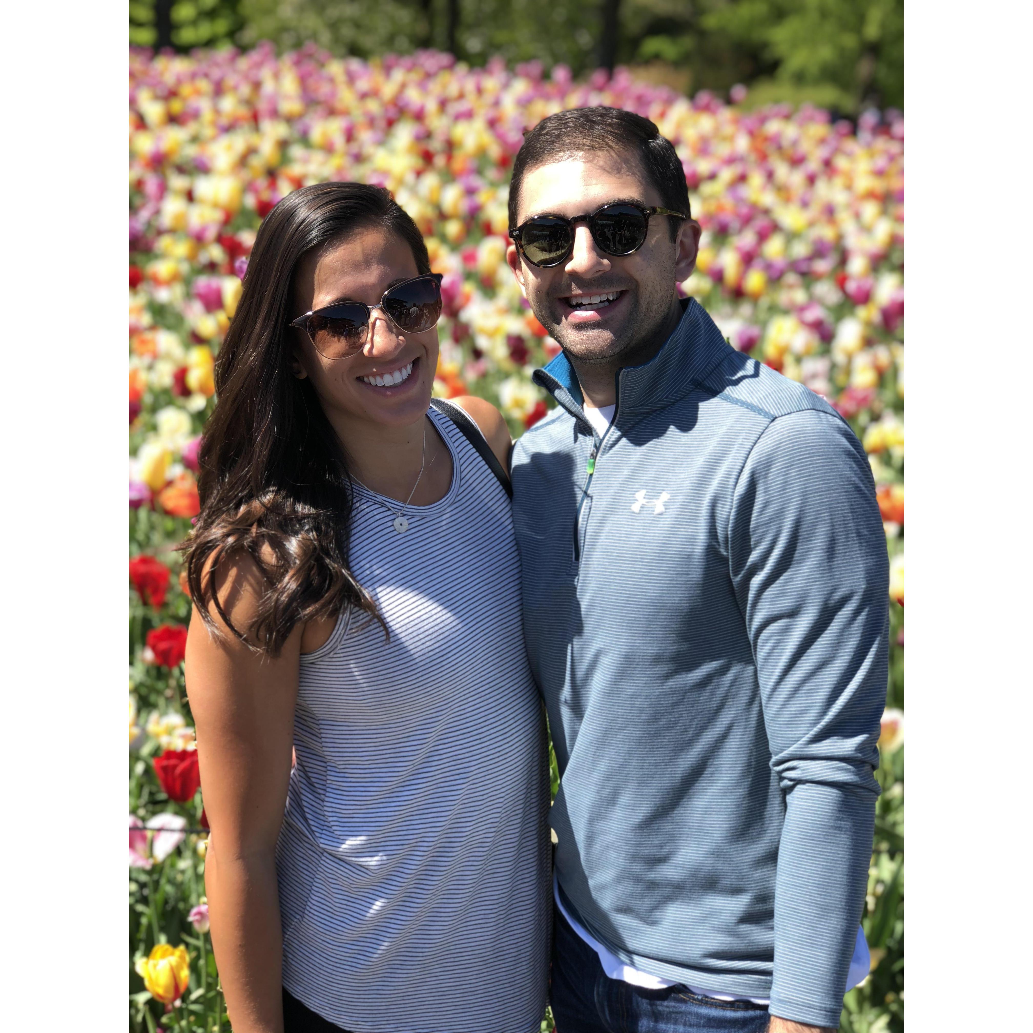 Keukenhof Gardens, Amsterdam, 2018