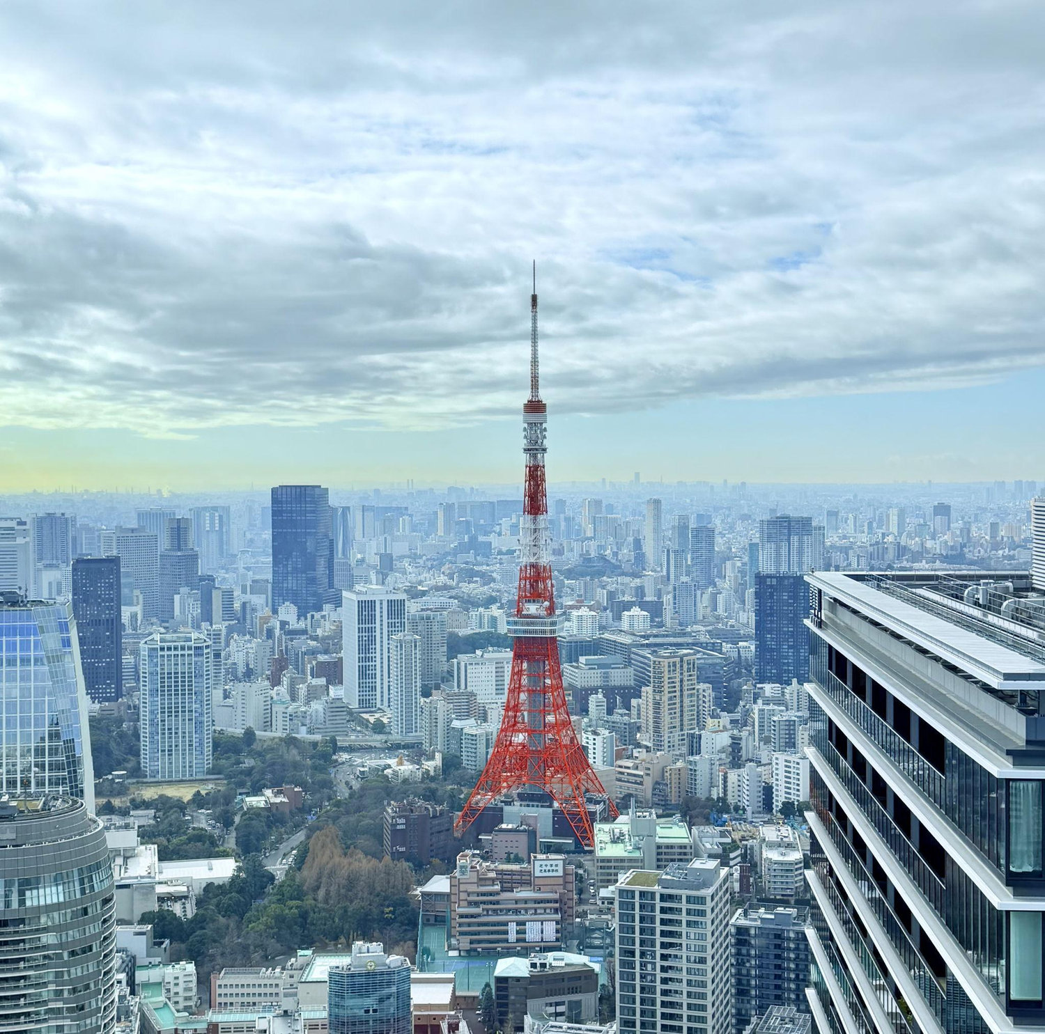 The Wedding Website of Daniel Stone and Misako Sasayama