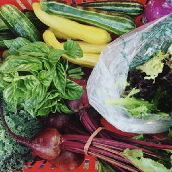 CSA - Summer & Fall Farmshare