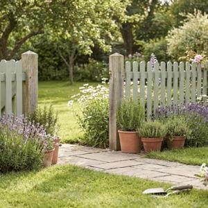 Garden and Fence