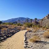 Cove Oasis Trailhead