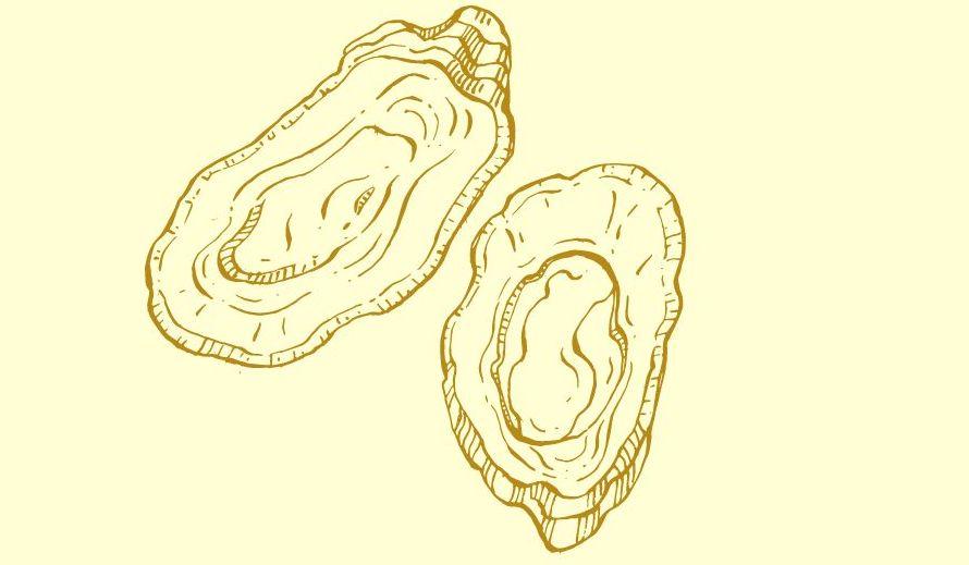 Footer image